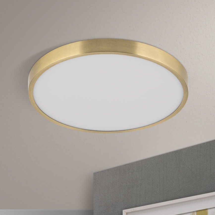 LED Stropní svítidlo BULLY LED/28W/230V pr. 28 cm zlatá