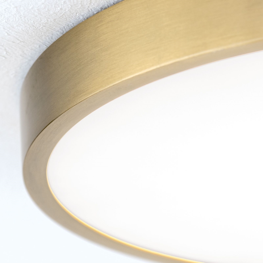 LED Stropní svítidlo BULLY LED/28W/230V pr. 28 cm zlatá