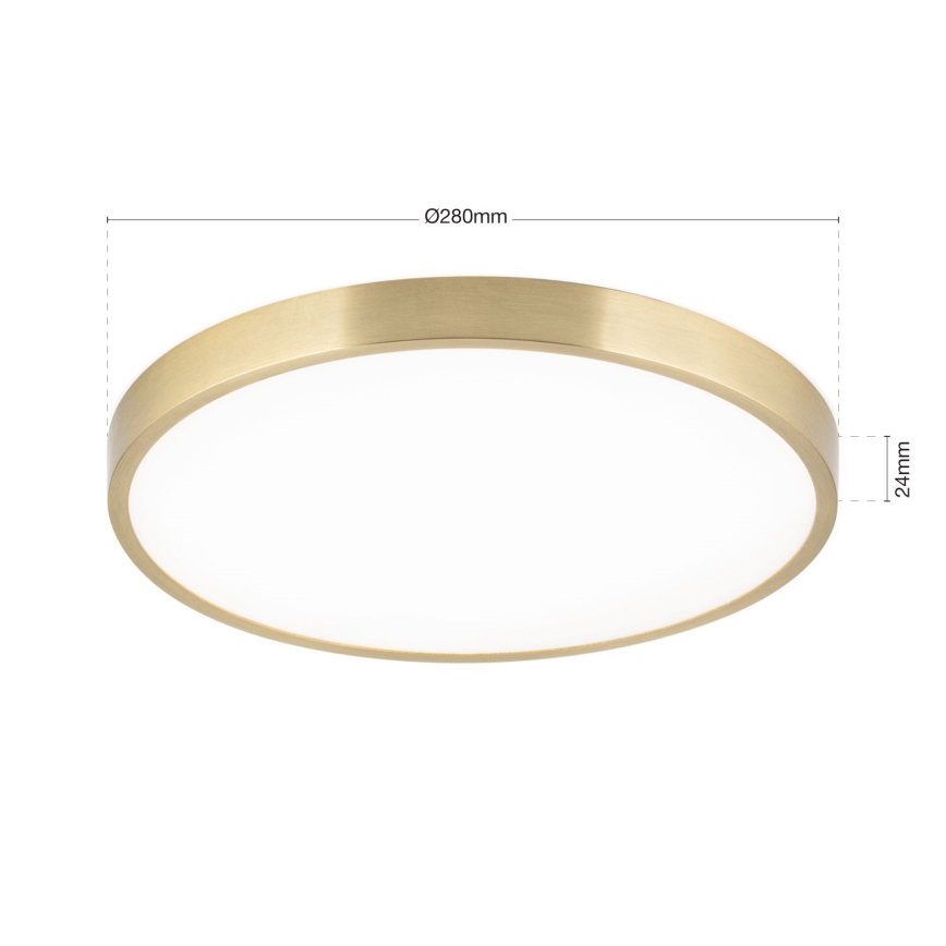 LED Stropní svítidlo BULLY LED/28W/230V pr. 28 cm zlatá