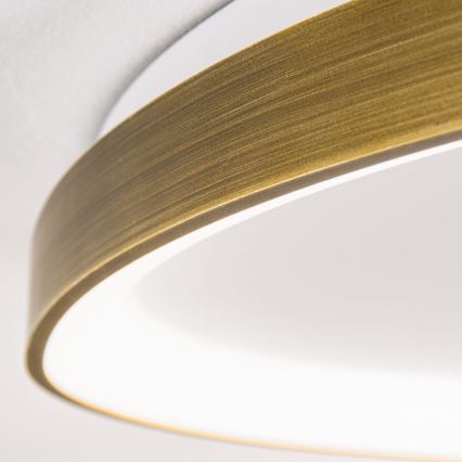 LED Stropní svítidlo CHARLIE LED/48W/230V pr. 65 cm zlatá