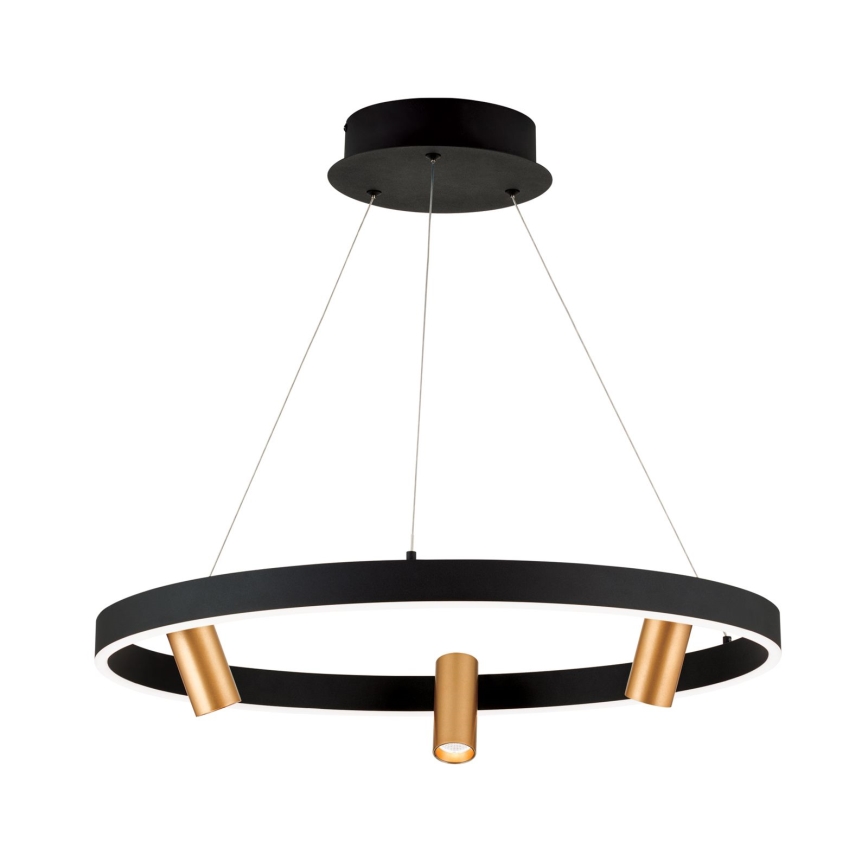 LED Stmívatelný lustr na lanku BERLIN LED/50W/230V černá/zlatá