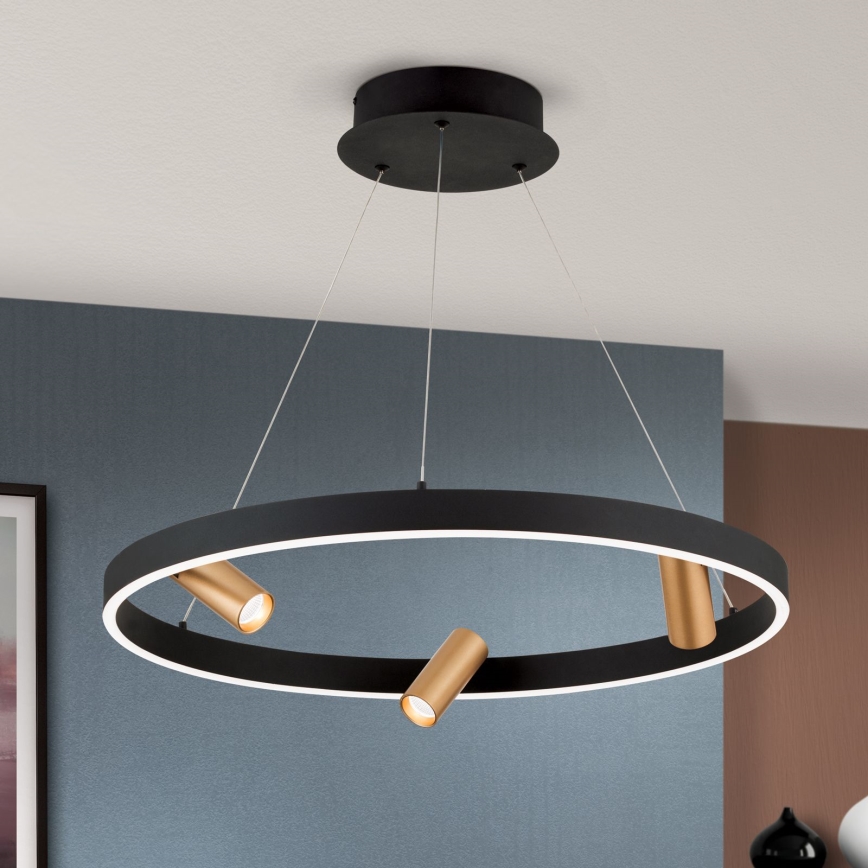 LED Stmívatelný lustr na lanku BERLIN LED/50W/230V černá/zlatá