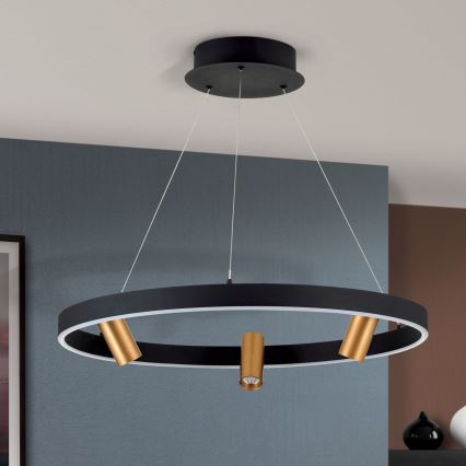 LED Stmívatelný lustr na lanku BERLIN LED/50W/230V černá/zlatá