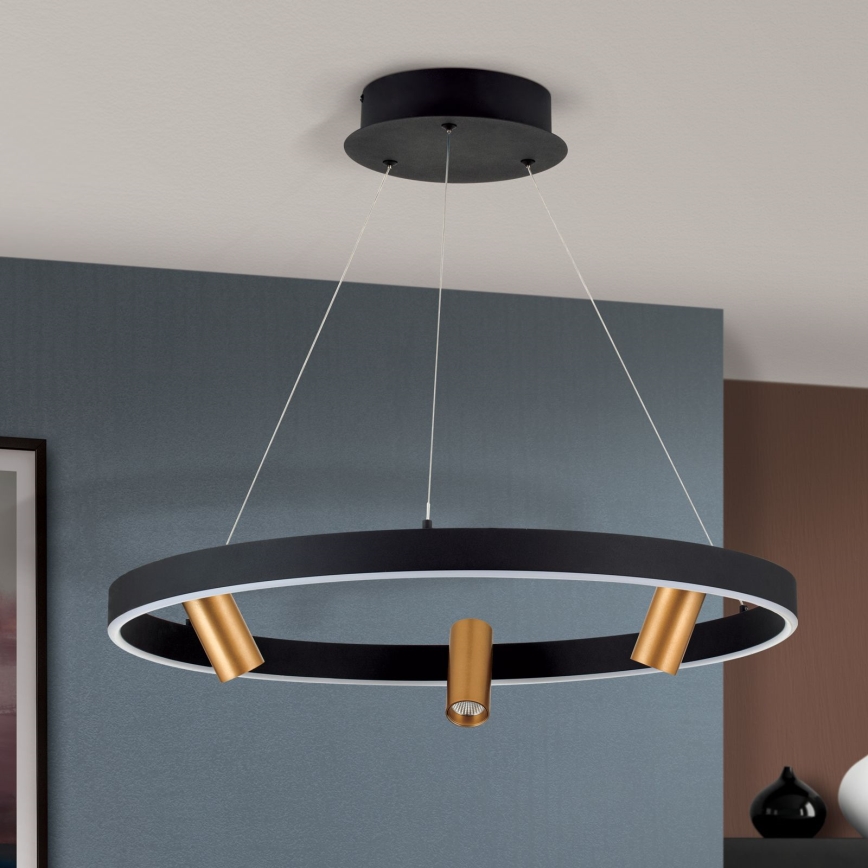 LED Stmívatelný lustr na lanku BERLIN LED/50W/230V černá/zlatá