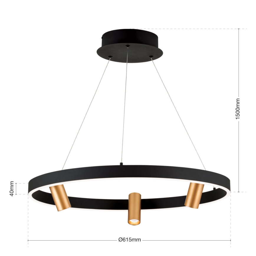 LED Stmívatelný lustr na lanku BERLIN LED/50W/230V černá/zlatá