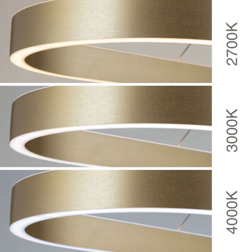 LED Lustr na lanku CARRARA LED/80W/230V 2700/3000/4000K zlatá