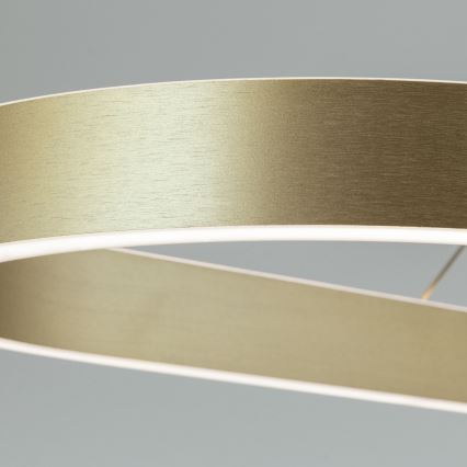 LED Lustr na lanku CARRARA LED/80W/230V 2700/3000/4000K zlatá