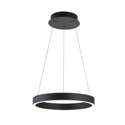 Orion - LED Stmívatelný lustr na lanku KOLK LED/40W/230V 2700/3000/4000K pr. 40 cm černá