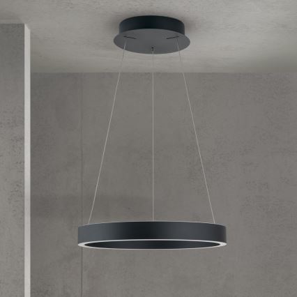Orion - LED Stmívatelný lustr na lanku KOLK LED/40W/230V 2700/3000/4000K pr. 40 cm černá