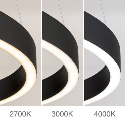 Orion - LED Stmívatelný lustr na lanku KOLK LED/40W/230V 2700/3000/4000K pr. 40 cm černá