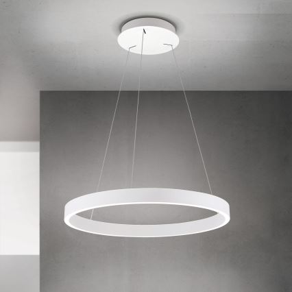 LED Stmívatelný lustr na lanku KOLK LED/60W/230V 2700/3000/4000K pr. 60 cm bílá