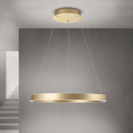 LED Stmívatelný lustr na lanku KOLK LED/60W/230V 2700/3000/4000K pr. 60 cm zlatá
