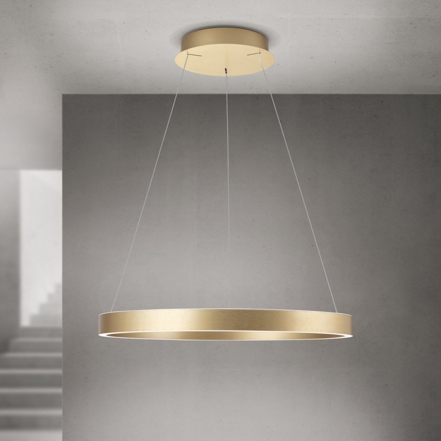 LED Stmívatelný lustr na lanku KOLK LED/60W/230V 2700/3000/4000K pr. 60 cm zlatá