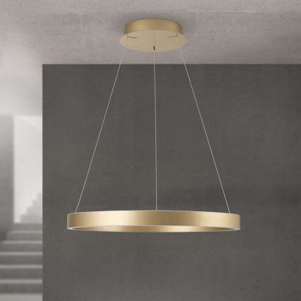 LED Stmívatelný lustr na lanku KOLK LED/60W/230V 2700/3000/4000K pr. 60 cm zlatá