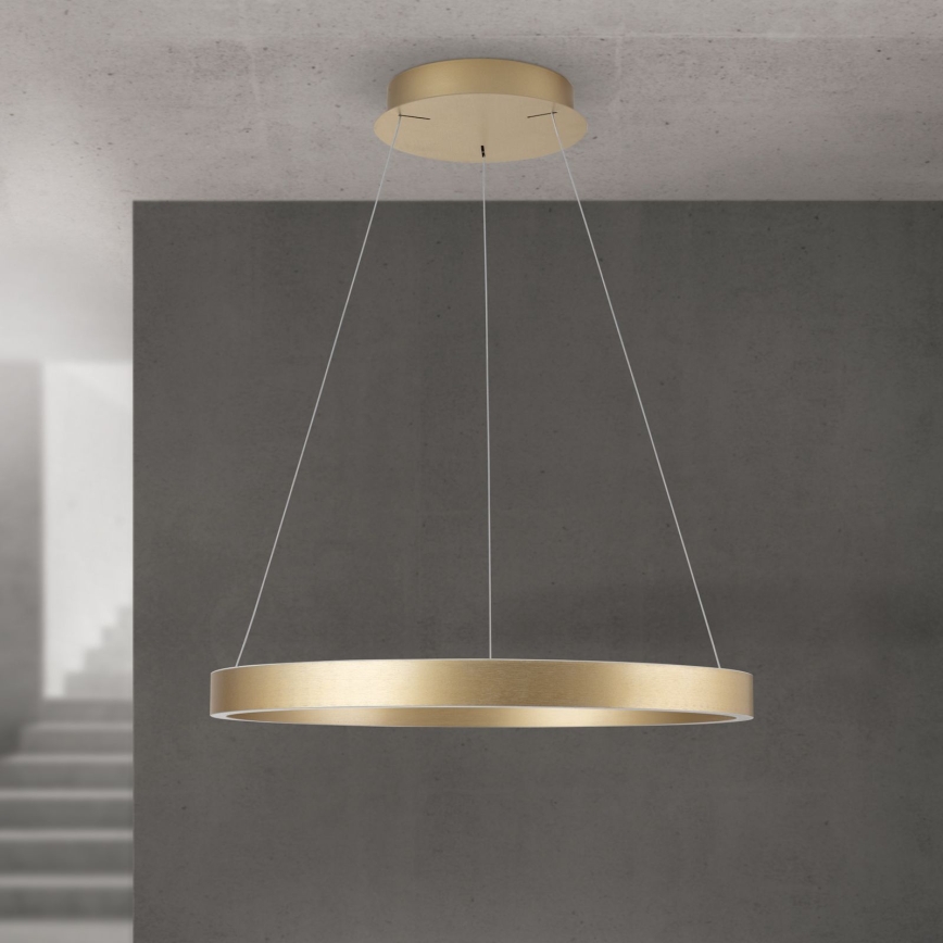 LED Stmívatelný lustr na lanku KOLK LED/60W/230V 2700/3000/4000K pr. 60 cm zlatá