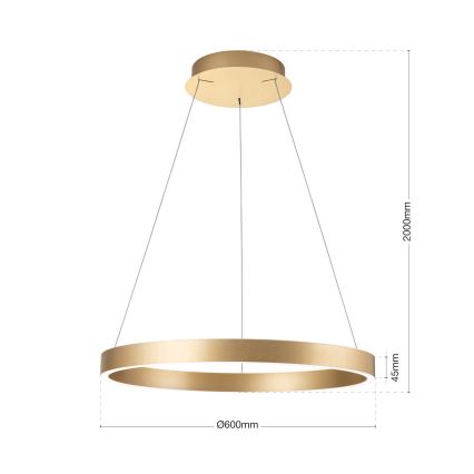 LED Stmívatelný lustr na lanku KOLK LED/60W/230V 2700/3000/4000K pr. 60 cm zlatá