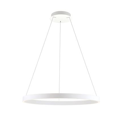 Orion - LED Stmívatelný lustr na lanku KOLK LED/80W/230V 2700/3000/4000K pr. 80 cm bílá