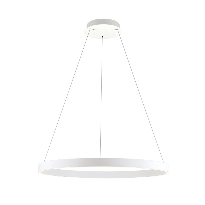 Orion - LED Stmívatelný lustr na lanku KOLK LED/80W/230V 2700/3000/4000K pr. 80 cm bílá