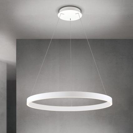 Orion - LED Stmívatelný lustr na lanku KOLK LED/80W/230V 2700/3000/4000K pr. 80 cm bílá