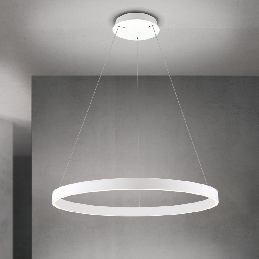 Orion - LED Stmívatelný lustr na lanku KOLK LED/80W/230V 2700/3000/4000K pr. 80 cm bílá