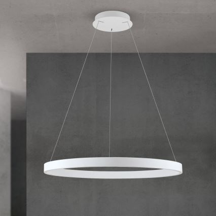 Orion - LED Stmívatelný lustr na lanku KOLK LED/80W/230V 2700/3000/4000K pr. 80 cm bílá