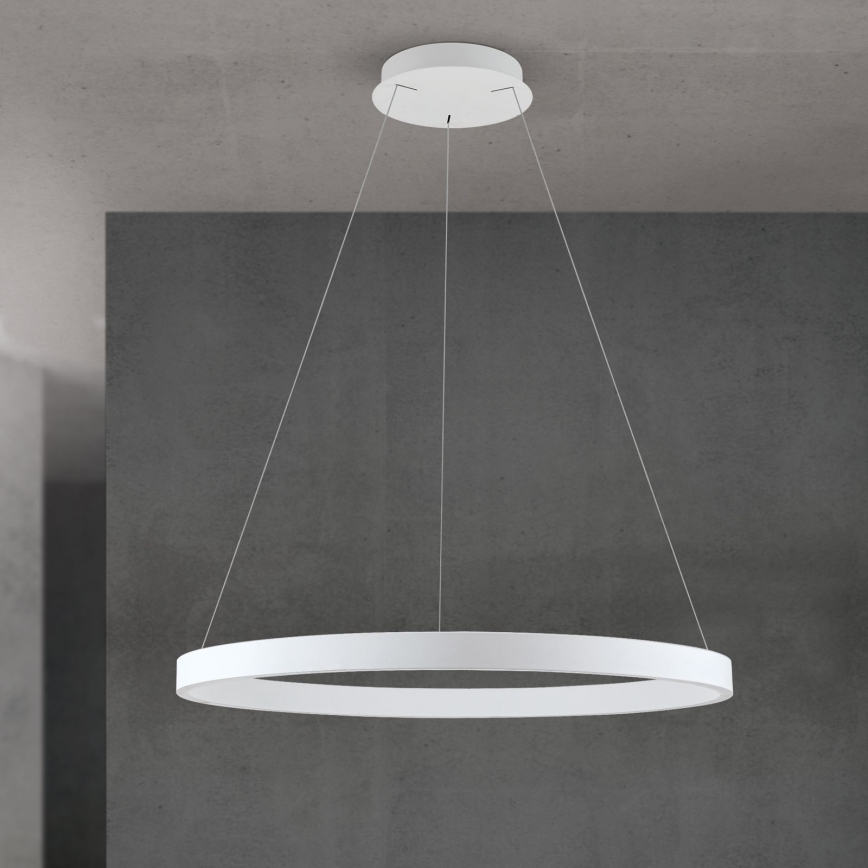 Orion - LED Stmívatelný lustr na lanku KOLK LED/80W/230V 2700/3000/4000K pr. 80 cm bílá