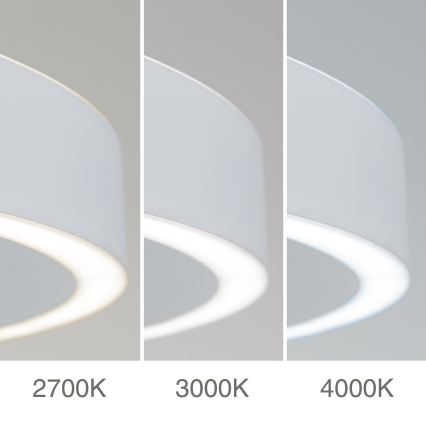 Orion - LED Stmívatelný lustr na lanku KOLK LED/80W/230V 2700/3000/4000K pr. 80 cm bílá