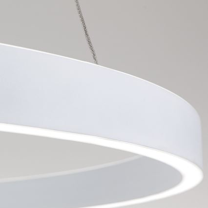 Orion - LED Stmívatelný lustr na lanku KOLK LED/80W/230V 2700/3000/4000K pr. 80 cm bílá