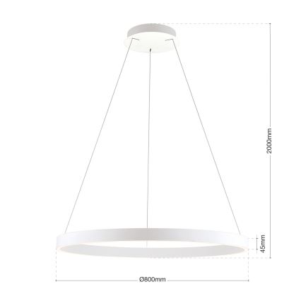 Orion - LED Stmívatelný lustr na lanku KOLK LED/80W/230V 2700/3000/4000K pr. 80 cm bílá