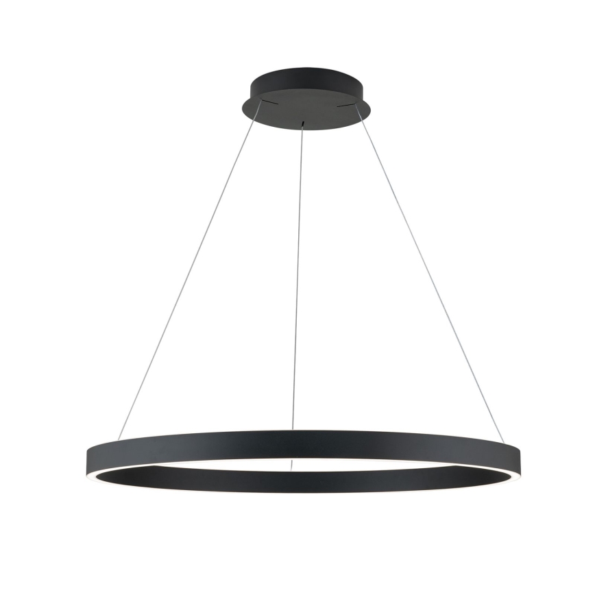 LED Stmívatelný lustr na lanku KOLK LED/80W/230V 2700/3000/4000K pr. 80 cm černá