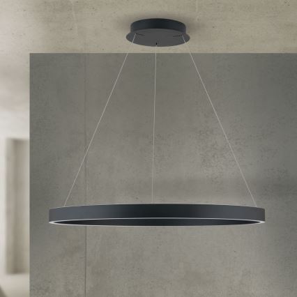 LED Stmívatelný lustr na lanku KOLK LED/80W/230V 2700/3000/4000K pr. 80 cm černá