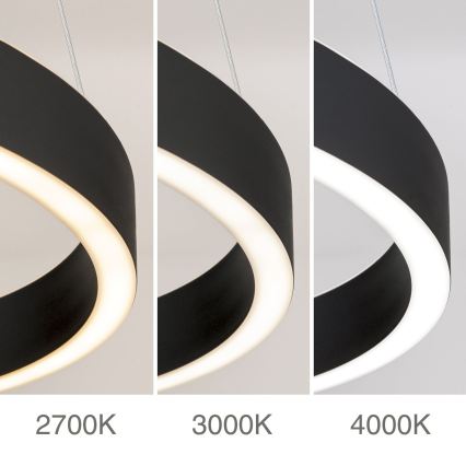LED Stmívatelný lustr na lanku KOLK LED/80W/230V 2700/3000/4000K pr. 80 cm černá