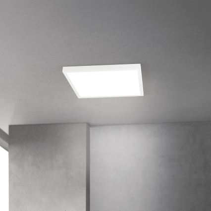 LED Stmívatelné stropní svítidlo DISC LED/30W/230V 2700/3000/4000K 39x39 cm bílá