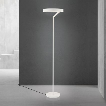 LED Stmívatelná stojací lampa KOLK LED/40W/230V 2700/4000K bílá