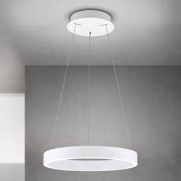 Orion - LED Stmívatelný lustr na lanku KOLK LED/40W/230V 2700/3000/4000K pr. 40 cm bílá