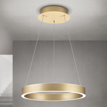 Orion - LED Stmívatelný lustr na lanku KOLK LED/40W/230V 2700/3000/4000K pr. 40 cm zlatá