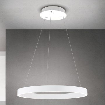 Orion - LED Stmívatelný lustr na lanku KOLK LED/60W/230V 2700/3000/4000K pr. 60 cm bílá