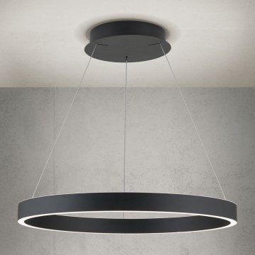 Orion - LED Stmívatelný lustr na lanku KOLK LED/60W/230V 2700/3000/4000K pr. 60 cm černá
