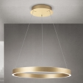 Orion - LED Stmívatelný lustr na lanku KOLK LED/60W/230V 2700/3000/4000K pr. 60 cm zlatá