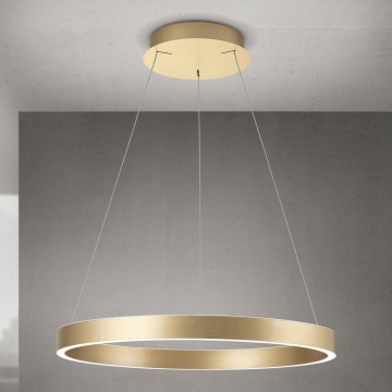 Orion - LED Stmívatelný lustr na lanku KOLK LED/60W/230V 2700/3000/4000K pr. 60 cm zlatá