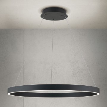 Orion - LED Stmívatelný lustr na lanku KOLK LED/80W/230V 2700/3000/4000K pr. 80 cm černá
