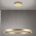 Orion - LED Stmívatelný lustr na lanku KOLK LED/80W/230V 2700/3000/4000K pr. 80 cm zlatá
