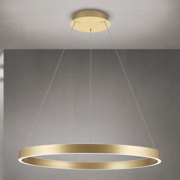 Orion - LED Stmívatelný lustr na lanku KOLK LED/80W/230V 2700/3000/4000K pr. 80 cm zlatá