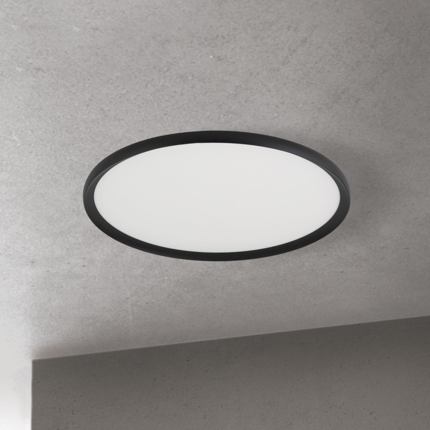 LED Stropní svítidlo KANT LED/50W/230V 2700/3200/4000K pr. 60 cm černá