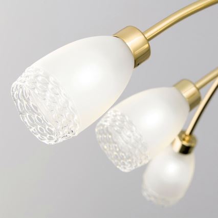 Lustr na tyči CARLA 8xG9/28W/230V zlatá