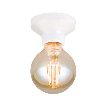 Stropní svítidlo FROST 1xE27/60W/230V bílá