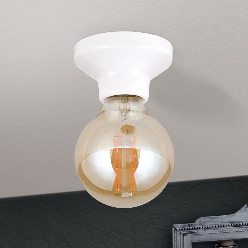 Stropní svítidlo FROST 1xE27/60W/230V bílá