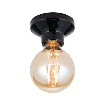 Stropní svítidlo FROST 1xE27/60W/230V černá