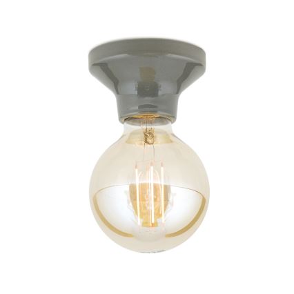 Stropní svítidlo FROST 1xE27/60W/230V šedá