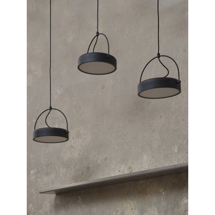 Osram - LED Lustr na lanku DECOR PUCK 3xLED/12W/230V CRI 90 černá